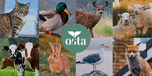 OSTA Talks Flanders 3:  Living with Animals in the City