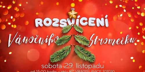 ROZSV\u00cdCEN\u00cd V\u00c1NO\u010cN\u00cdHO STROME\u010cKU 2025