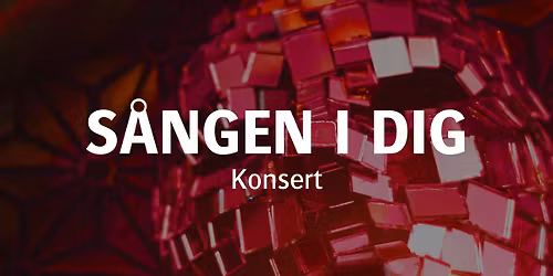 S\u00e5ngen i dig (Konsert)