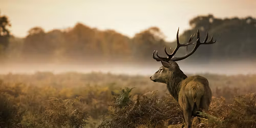 Henry's Winnipeg  Wildlife Photography Workshop