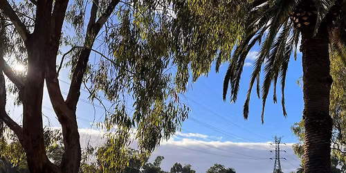 Maribyrnong River Trail - A Singles Social Walk
