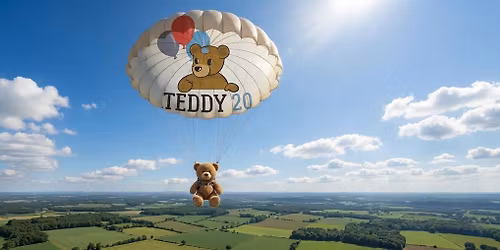 Skydive for Teddy20