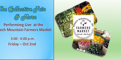 The Collective Trio & More @ Beech Mtn Farmer's Market