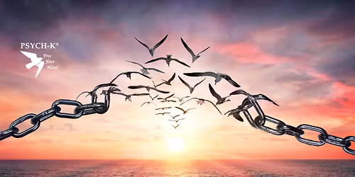 PSYCH-K\u00ae Method Basic Workshop