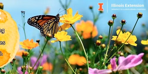 Gardening for Butterflies