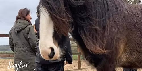 PROGRAMMA LEKKER IN JE VEL