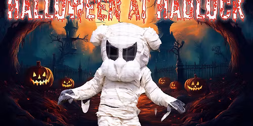 Halloween at the Park