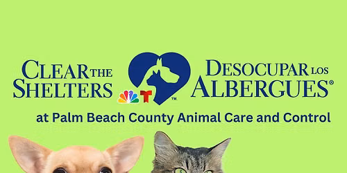 Clear the Shelters 2026 at PBCACC