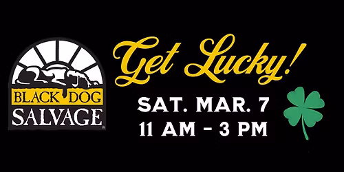 Get Lucky! @ Black Dog Salvage