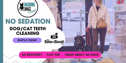 Dog & Cat Teeth Cleaning - Maple Ridge - Bone & Biscuit