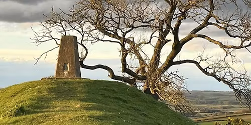 The Gaddesby Grunter