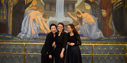 Fan Anxin, Sz\u00e9kely Zs\u00f3fia \u00e9s R\u00e9th\u00e1ti J\u00falia karvezet\u00e9s diplomahangversenye