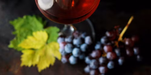 Wine Tasting Experience 