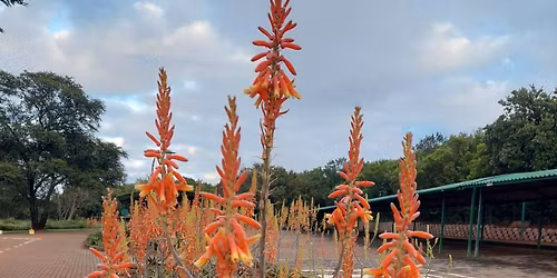 Botanical Garden parkrun #416