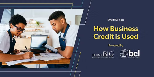 ThinkB!G: How Business Credit is Used