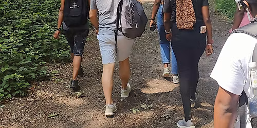 Wellness Walking Challenge: 3km in 33 Minutes with R3 Physiotherapy