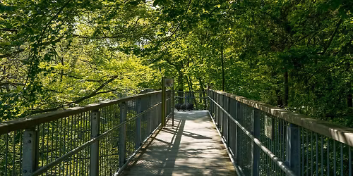 Fr\u00fchlingserwachen