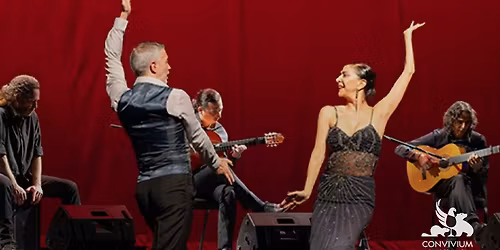 \u2728 Flamenco Passion After Dark \u2014 Direct from Spain! \u2728