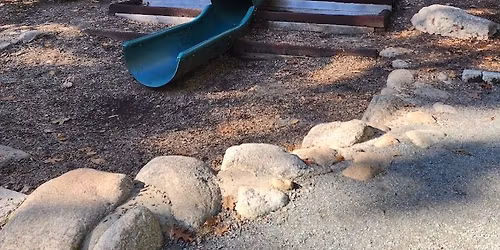 Park Day - Ellsworth McAfee