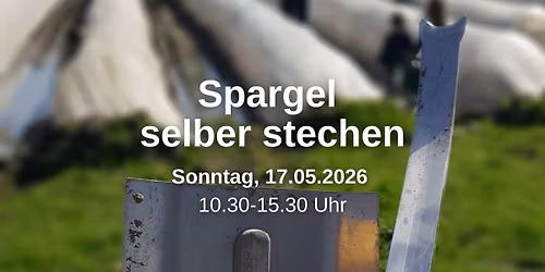 Spargel selber stechen 