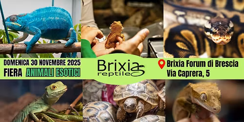 Brixia Reptiles Experience \u2013 Alla scoperta del mondo esotico