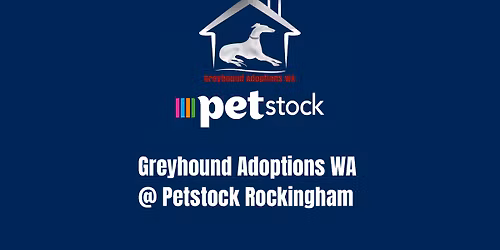 Petstock Rockingham