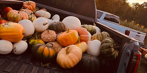 Old Oaks Pumpkin Patch & Fall Market