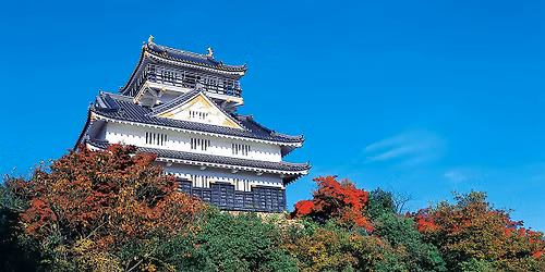 Central Japan Legacy | Castles, Samurai & Travel Adventures