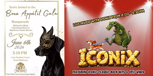 Bone Appetit Gala Unleashing Hope for Big Bones Canine Rescue