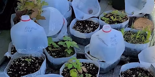 Winter Seed Sowing Workshop