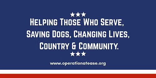 Intermediate Dog Training