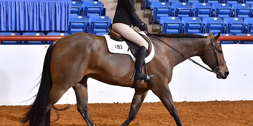 FWSSR Quarter Horse Show