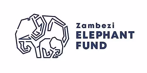 Queen City x Zambezi Fund Throwdown