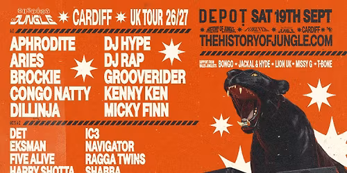 The History of Jungle - Cardiff