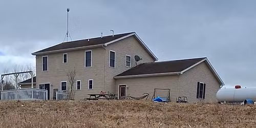 100 ways to ruin a good bird dog