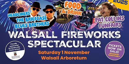 Walsall Fireworks Spectacular - Walsall Arboretum