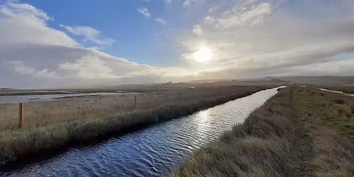 Afternoon walk - Iron Road ramble (10 February)