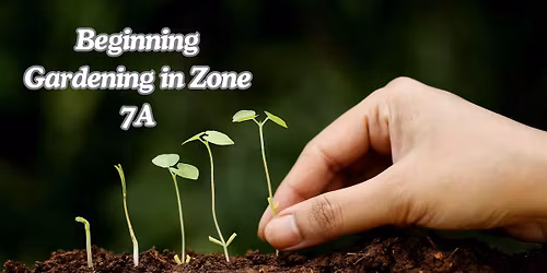 Beginning Gardening