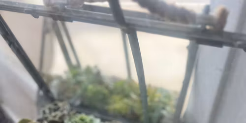 Third Thursday Late Night 