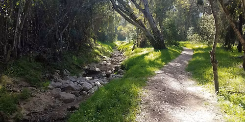 Monarch Butterfly Walk at Coronado Butterfly Preserve and Ellwood Mesa!