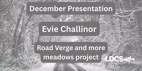 December Talk - Evie Challinor
