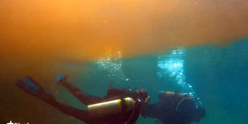 Orange Grove \/ Troy