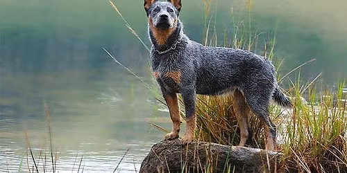 ACD Monthly Walk (Lake\/Geauga County)