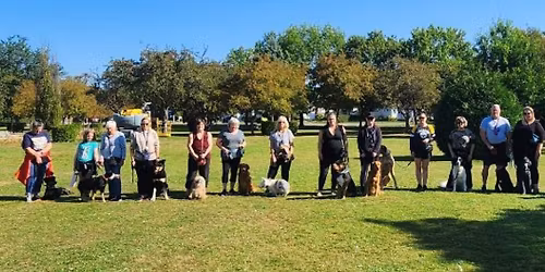 FREE Dog Training Walk and Learn
