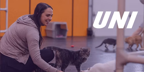 Cats for Cats: Yoga at Cedar Bend Humane Soceity 