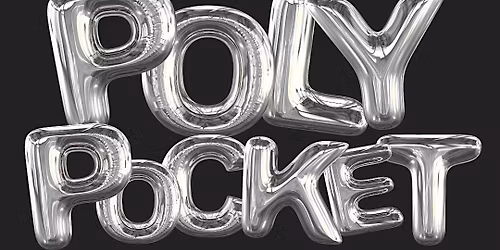 Poly Pocket BOZEMAN