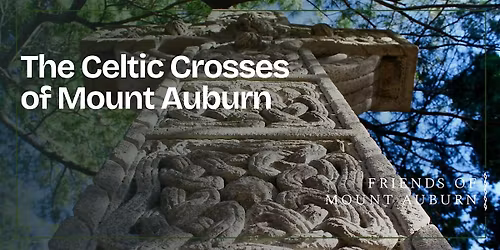 The Celtic Crosses of Mount Auburn Walking Tour