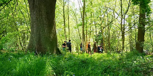 NWT Sweet Briar Marshes: Explore with the warden (12 November)