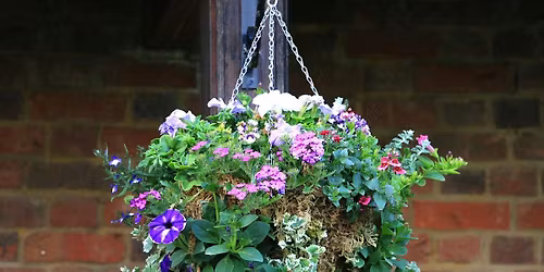 Second Summer Container and Hanging Basket Workshop