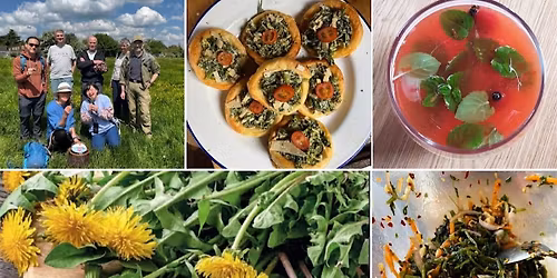 Spring Foraging & Sensory Quiz (Family Friendly)